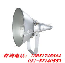 上海晚燦照明燈具廠專業(yè)投射燈產(chǎn)品列表